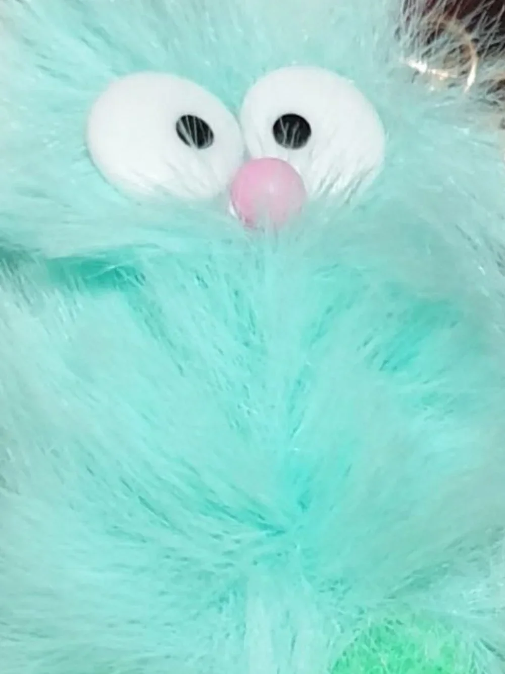 N/A cute owl